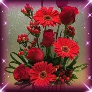 Meet your Posher, Deisy